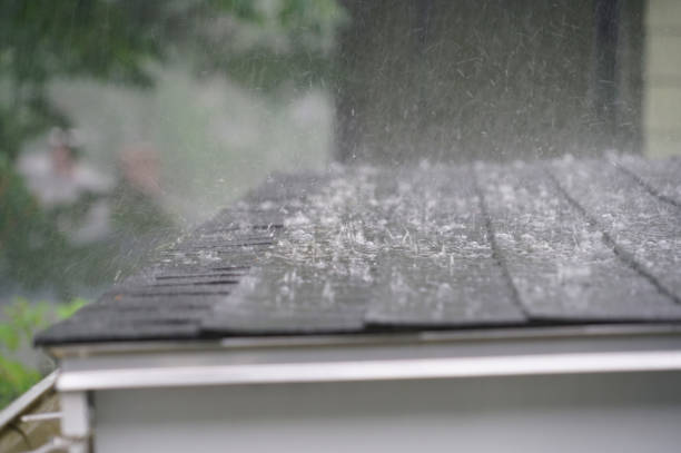 Best Asphalt Shingle Roofing  in Lynn, IN