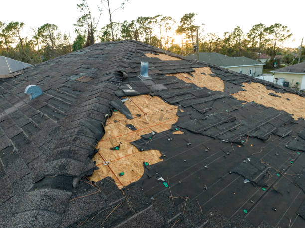 Best Commercial Roofing Services  in Lynn, IN